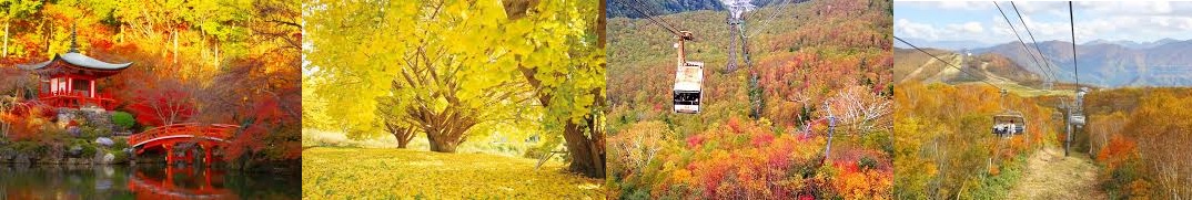 日本の四季(秋)